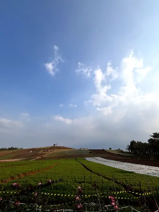 Panorama Bukit Jengkoang 7