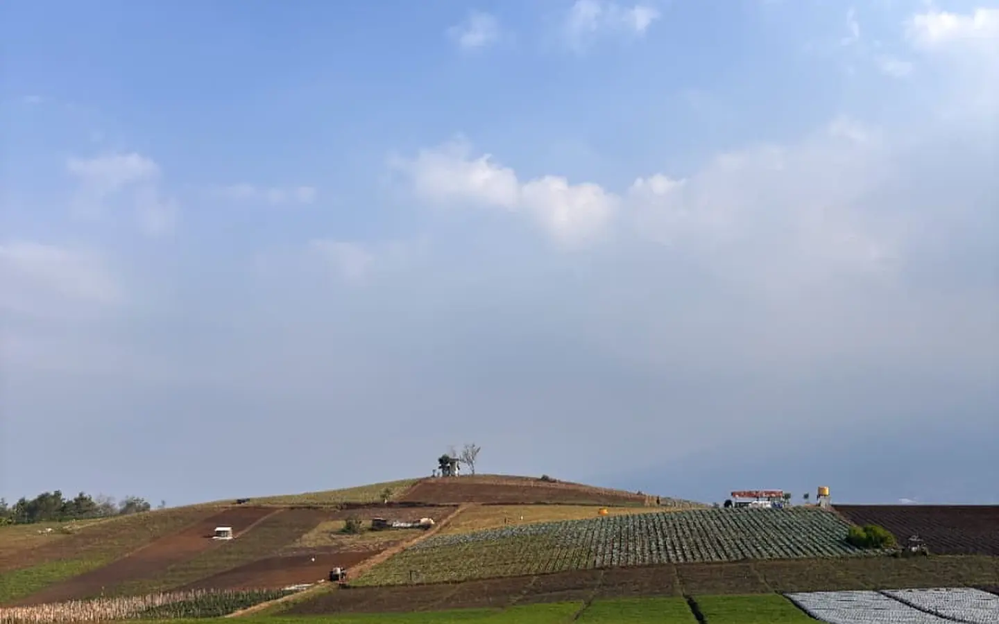 Hamparan kebun di Bukit Jengkoang