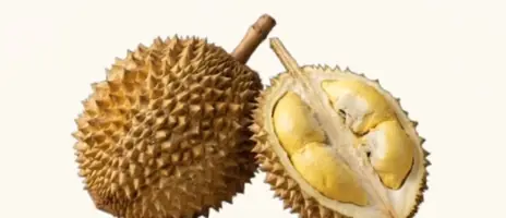 Durian