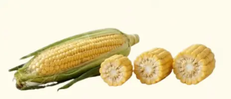 Jagung